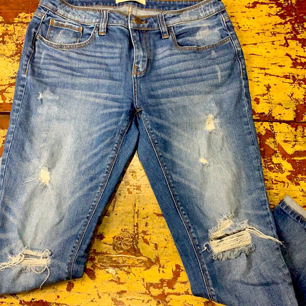 Daytrip lynx ankle straight relaxed fit jeans